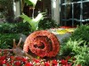 Bellagio - Conservatory Display